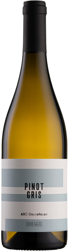 von Salis Bündner Pinot Gris 2022, AOC Graubünden - GOLD Mondial des Pinots 2023, Pinot Gris, Graubünden, Mondial des Pinots: 1