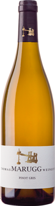 Thomas Marugg Fläscher Pinot Gris 2022, AOC Graubünden, Pinot Gris, Graubünden