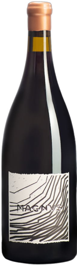 Möhr-Niggli Maienfelder Pinot Noir Magnus 2019, AOC Graubünden, Pinot Noir, Graubünden