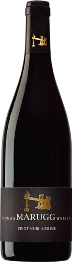 Thomas Marugg Fläscher Pinot Noir Alte Reben 2021, AOC Graubünden, Pinot Noir, Graubünden