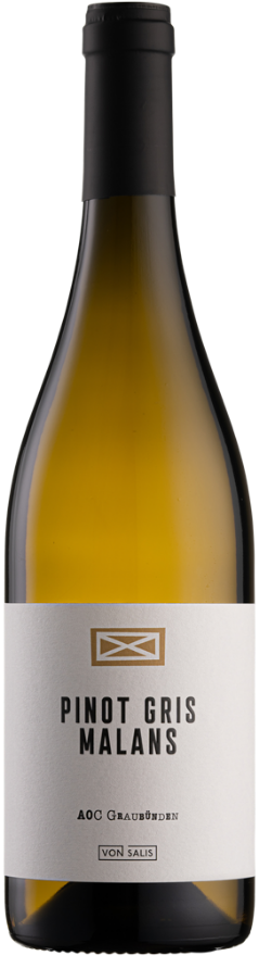 von Salis Malanser Pinot Gris 2022, AOC Graubünden, Pinot Gris, Graubünden