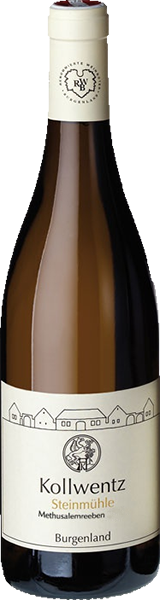 Kollwentz Sauvignon Blanc Methusalemreben 2021