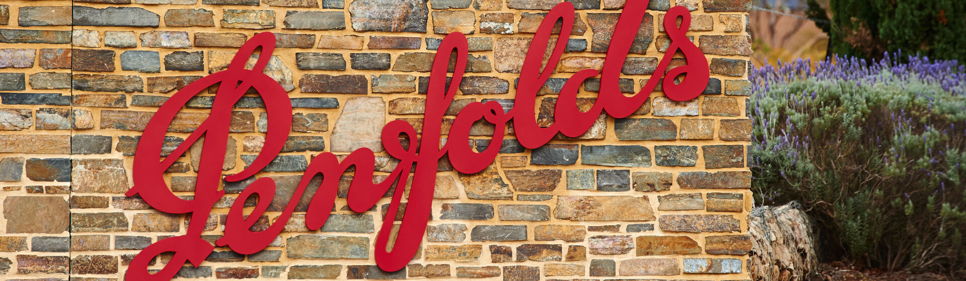 Bild für Kategorie Penfolds Wines