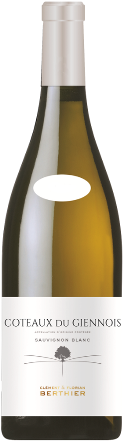 Vignobles Berthier Giennois Blanc 2022