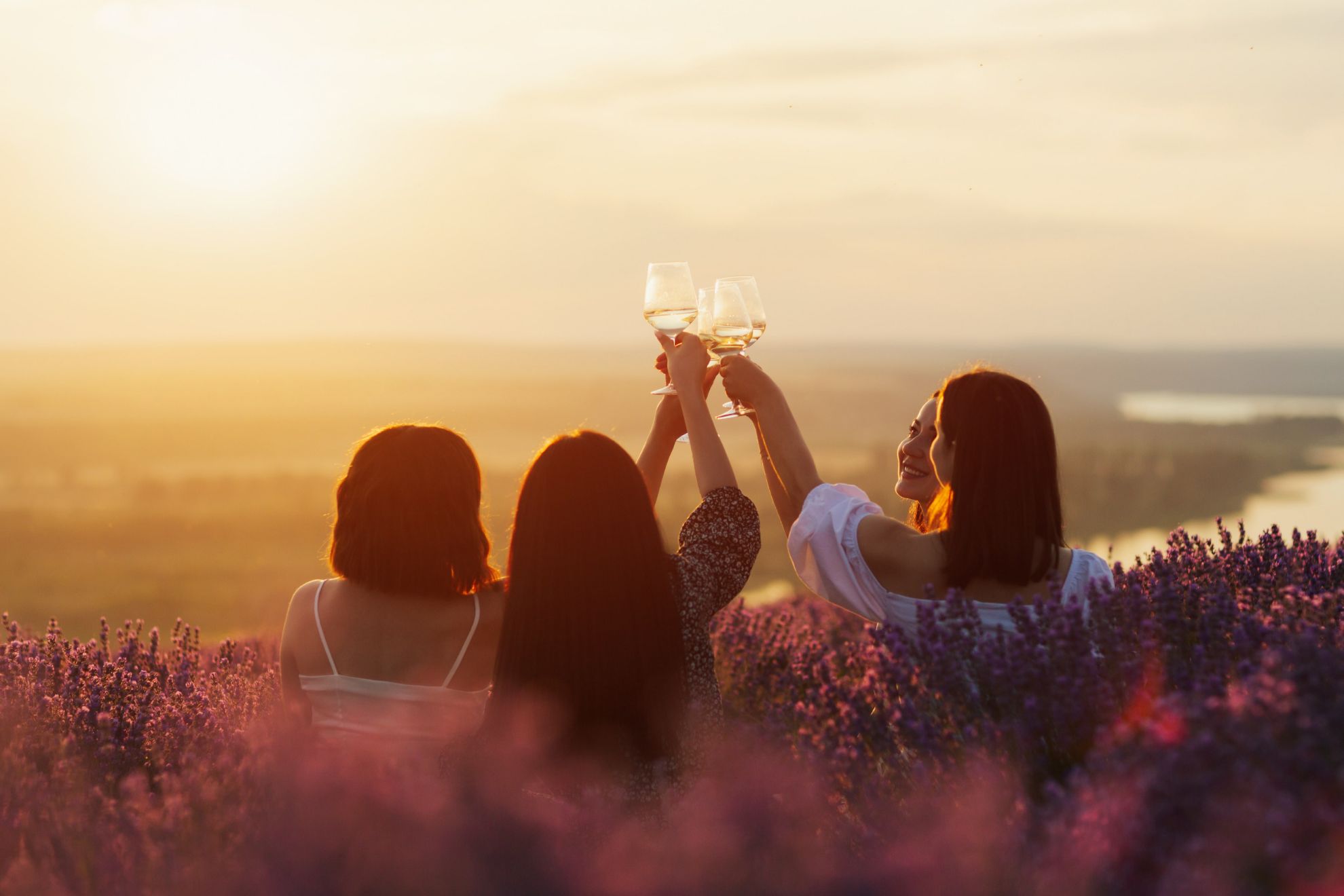 Zeige Produkte für Kategorie Côtes de Provence Bild für Kategorie Côtes de Provence