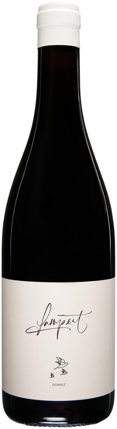 Lampert Maienfelder Pinot Noir Eichholz 2022