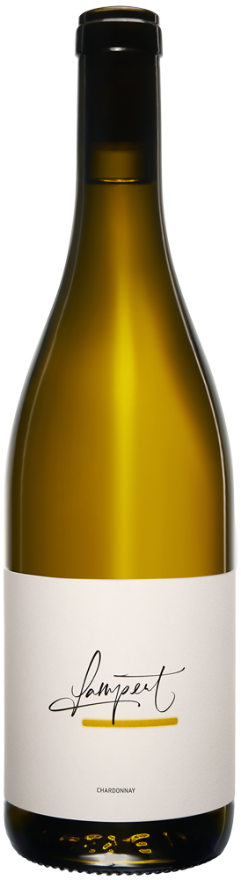 Lampert Maienfelder Chardonnay 2023, 75cl, AOC Graubünden, Chardonnay, Graubünden