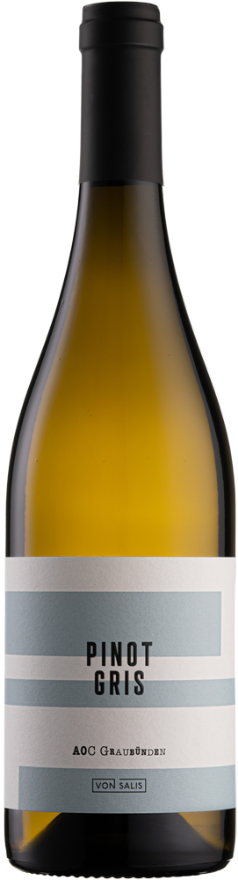 von Salis Bündner Pinot Gris 2023, 75cl, AOC Graubünden, Pinot Gris, Graubünden, Mondial des Pinots: 1