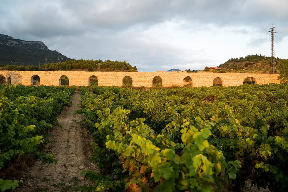 Bild für Kategorie Matarromera, Rioja
