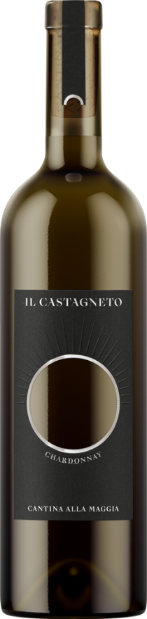 Cantina alla Maggia Il Castagneto 2023 Cantina alla Maggia Il Castagneto 2023
