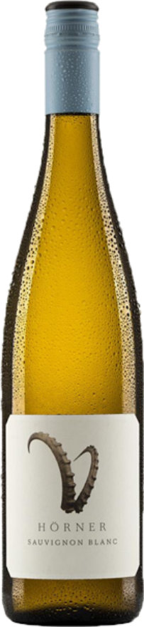 Weingut Hörner Sauvignon Blanc Steinbock 2024