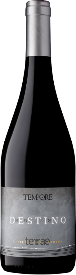 Bodegas Tempore Destino 2022 Bodegas Tempore Destino 2022