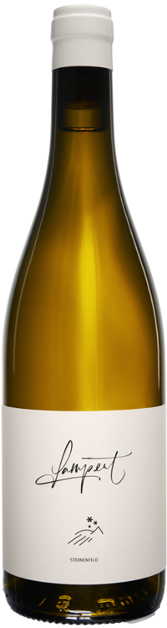 Lampert Maienfelder Chardonnay Sternenfeld 2023, 75cl, AOC Graubünden, Chardonnay, Graubünden, Falstaff: 92