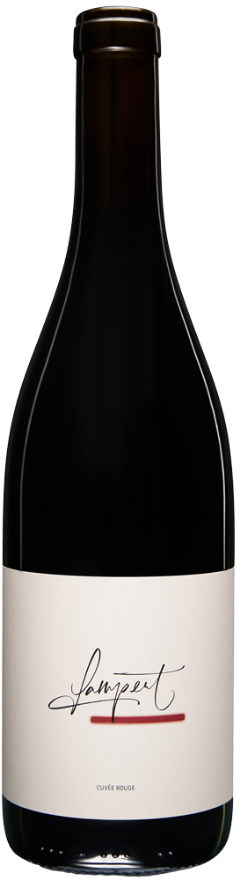 Lampert Maienfelder Cuvée Rouge 2023, 75cl, AOC Graubünden, Syrah, Cabernet Sauvignon, Merlot, Zweigelt, St. Laurent, Graubünden