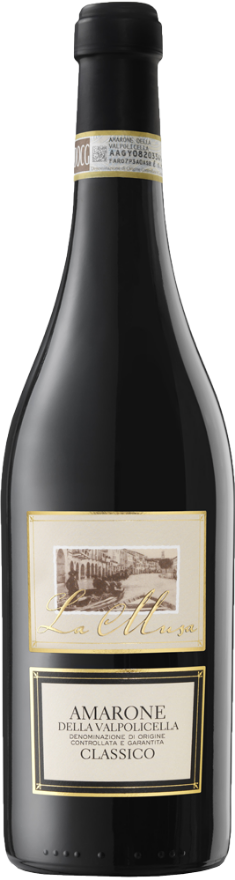 La Musa Amarone 2021, 75cl, Amarone della Valpolicella DOCG, Corvina, Rondinella, Molinara, Veneto