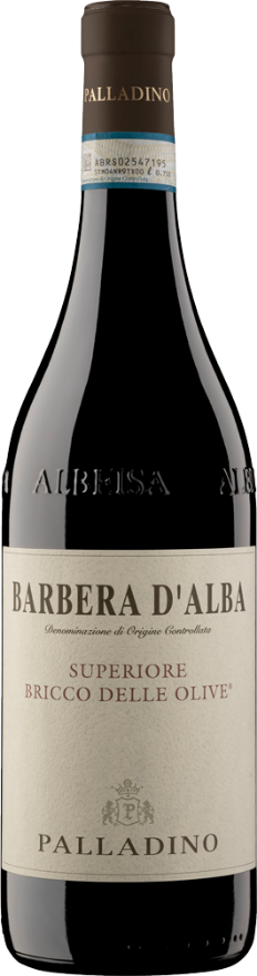 Palladino Barbera d'Alba Bricco delle Olive 2022, 75cl, Barbera d'Alba Superiore DOC, Barbera, Piemonte