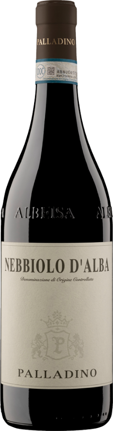 Palladino Nebbiolo d'Alba 2022, 75cl, Nebbiolo d'Alba DOC, Nebbiolo, Piemonte