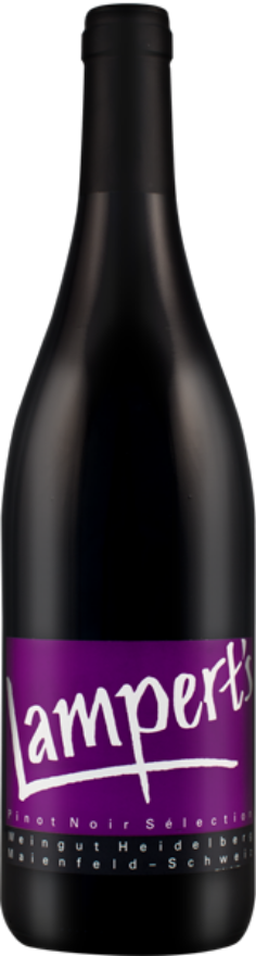 Heidelberg Pinot Noir Walser 2023, 75cl, AOC Graubünden, Maienfeld, Pinot Noir, Graubünden