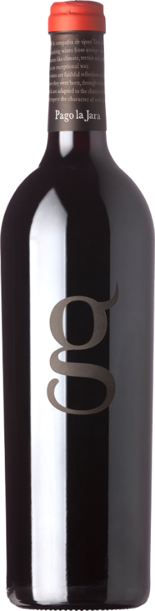 Telmo Rodriguez Gago Pago la Jara 2021