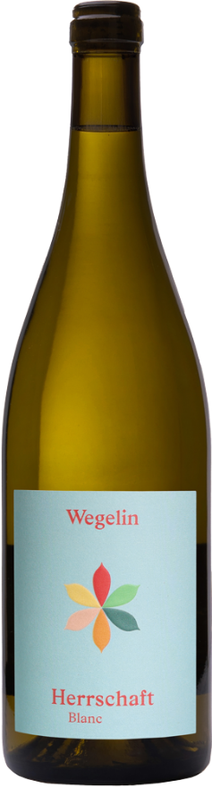 Wegelin Malanser Herrschaft Blanc 2025