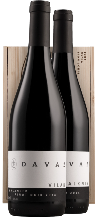 Davaz Terroirweinkiste Pinot Noir 2024, Pack, Falknis und Vilan, AOC Graubünden, Graubünden