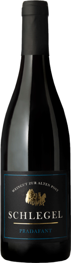 Schlegel Jeninser Pinot Noir Pradafant 2024, 75cl, AOC Graubünden, Graubünden
