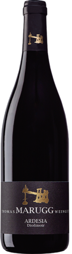 Thomas Marugg Fläscher Ardesia 2022, 75cl, AOC Graubünden, Diolinoir, Graubünden