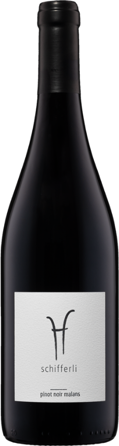 Schifferli Malanser Pinot Noir 2023, 75cl, AOC Graubünden, Pinot Noir, Graubünden