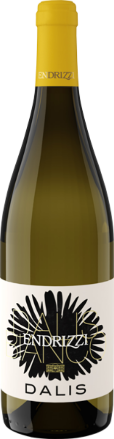 Endrizzi Cuvée Dalis Bianco 2025, 75cl, Vigneti delle Dolomiti Bianco IGP, Chardonnay, Sauvignon Blanc, Nosiola, Trentino