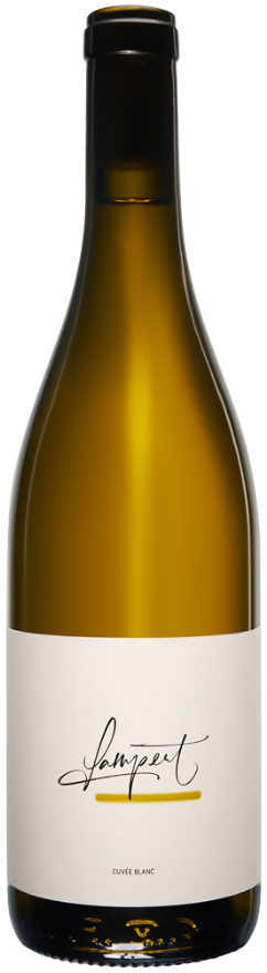 Lampert Maienfelder Cuvée Blanc 2025, 75cl, AOC Graubünden, Riesling-Silvaner, Chardonnay, Sauvignon Blanc, Graubünden