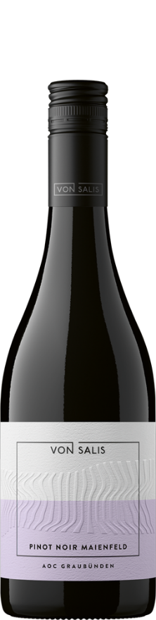 von Salis Maienfelder Pinot Noir 2025, 50cl, AOC Graubünden, Pinot Noir, Graubünden