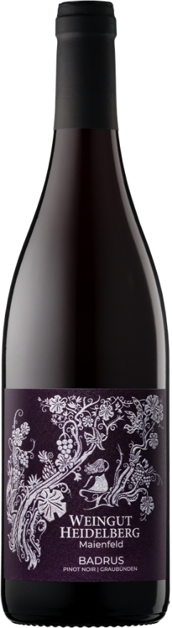 Heidelberg Pinot Noir Badrus 2023, 75cl, AOC Graubünden, Maienfeld, Pinot Noir, Graubünden, Falstaff: 92
