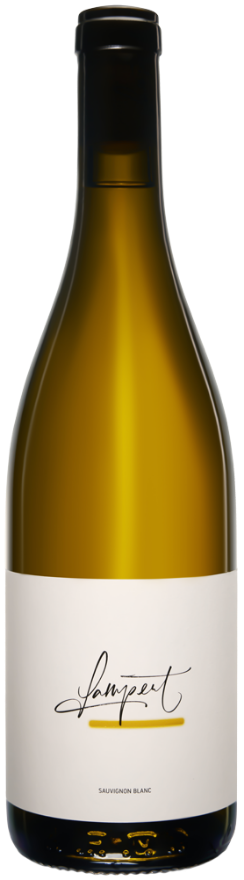 Lampert Maienfelder Sauvignon Blanc 2025, 75cl, AOC Graubünden, Sauvignon Blanc, Graubünden