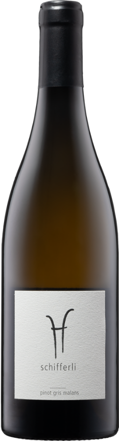 Schifferli Malanser Pinot Gris 2024, 75cl, AOC Graubünden, Pinot Gris, Graubünden