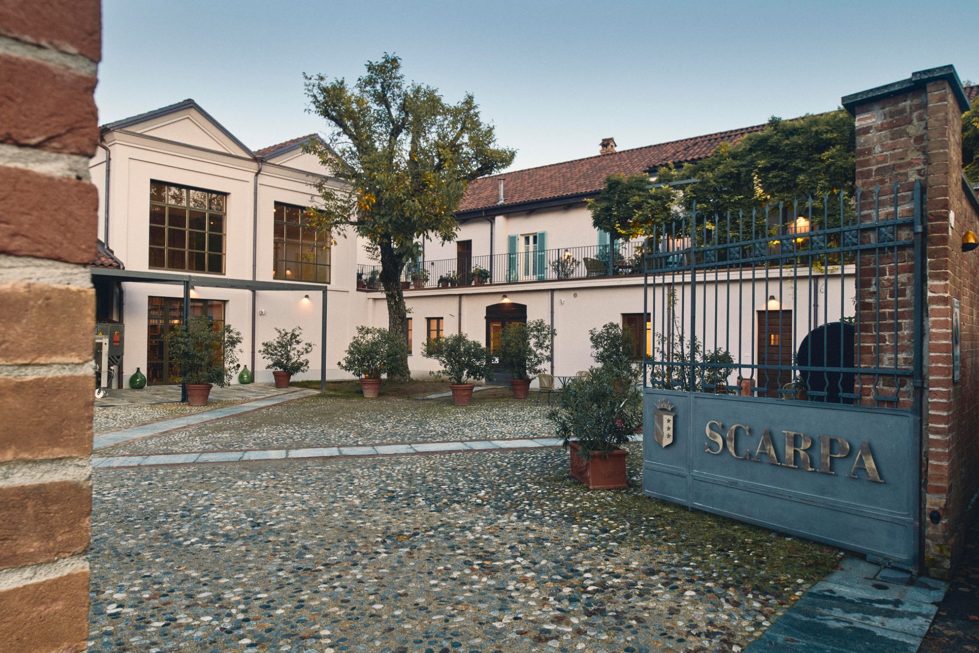 Bild für Kategorie Scarpa Wine