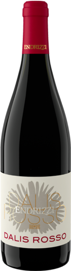 Endrizzi Cuvée Dalis Rosso 2025, 75cl, Vino Rosso d’Italia, Teroldego, Petit Verdot, Cabernet Sauvignon, Sangiovese, Trentino