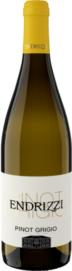Endrizzi Pinot Grigio 2025, 75cl, Trentino DOC, Pinot Gris, Trentino