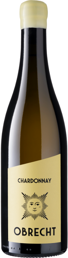 Obrecht Chardonnay 2024, 75cl, AOC Graubünden, Chardonnay, Graubünden