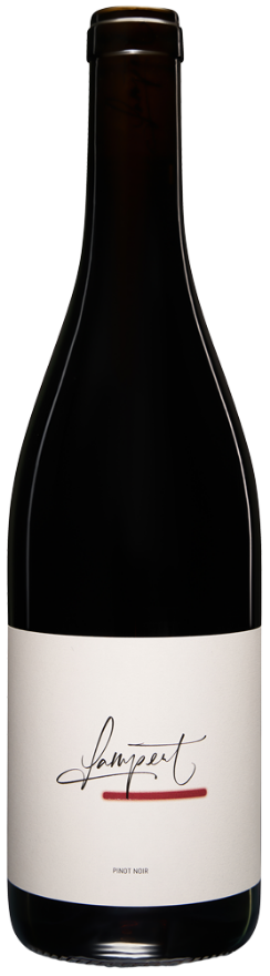 Lampert Maienfelder Pinot Noir Kalk & Schiefe 2024, 75cl, AOC Graubünden, Pinot Noir, Graubünden
