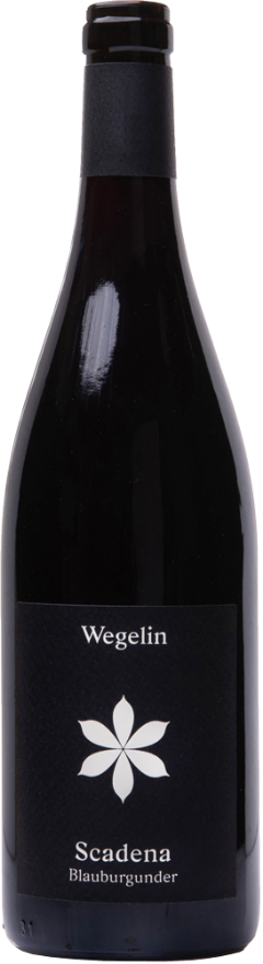 Wegelin Malanser Blauburgunder Scadena 2023, 75cl, AOC Graubünden, Pinot Noir, Graubünden